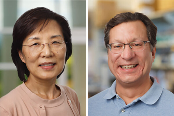Mutated coronavirus shows significant boost in infectivity