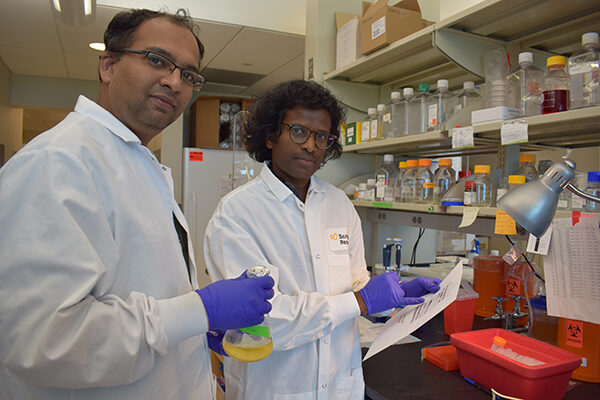 Huntington’s disease progression involves DNA damage sensor