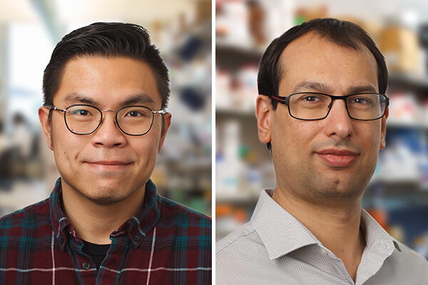 Chemists synthesize natural anti-cancer compound with efficient new process