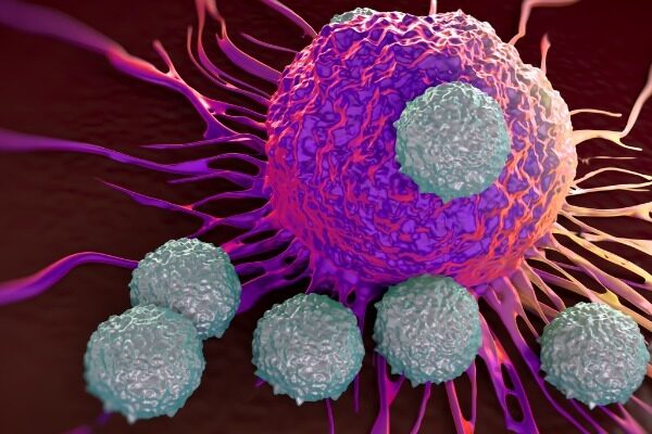 Unleashing the immune system’s ‘STING’ against cancer