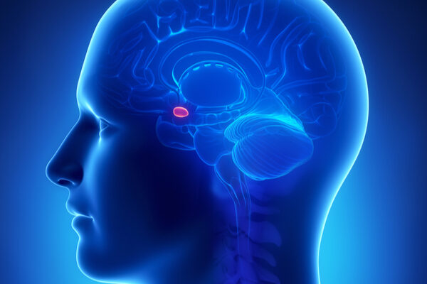 Chronic alcohol use reshapes the brain’s immune landscape, driving anxiety and addiction