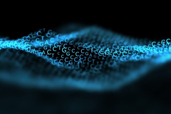 Study highlights strategies for boosting accuracy of personal genetic risk scores