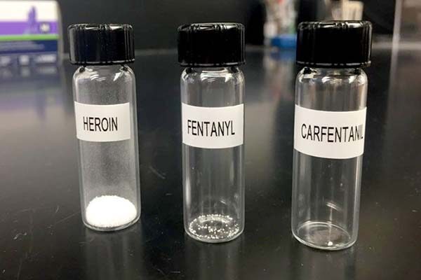 Experimental vaccine blunts the deadliest of synthetic opioids