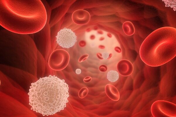 Scientists identify protein that may be silent cause of ‘iron overload’