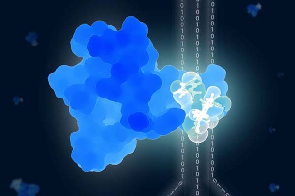 When molecules collide: new method for analyzing sugar-protein interactions could enable better biologic drugs