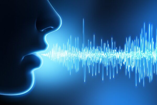 Newly discovered node in the brain could help scientists understand dysfunctional social behavior