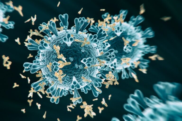Scientists reveal structural details of how SARS-CoV-2 variants escape immune response
