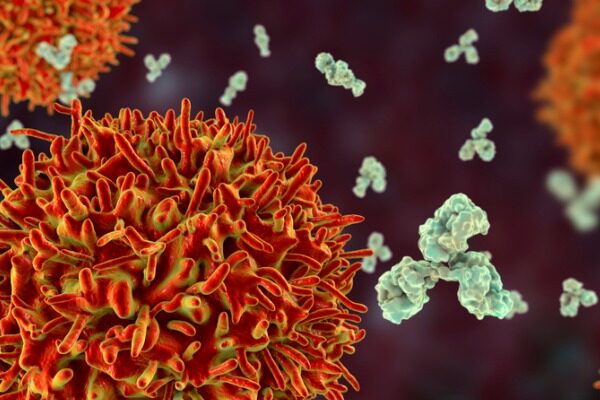 Versatile coronavirus antibody may be starting point for broader-acting vaccines
