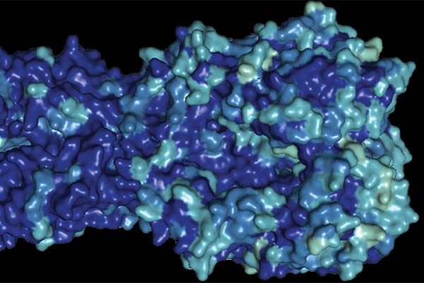 Lessons from most recent flu pandemic point the way toward universal vaccines