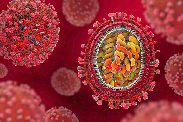 Flu discovery points to target for antiviral drugs