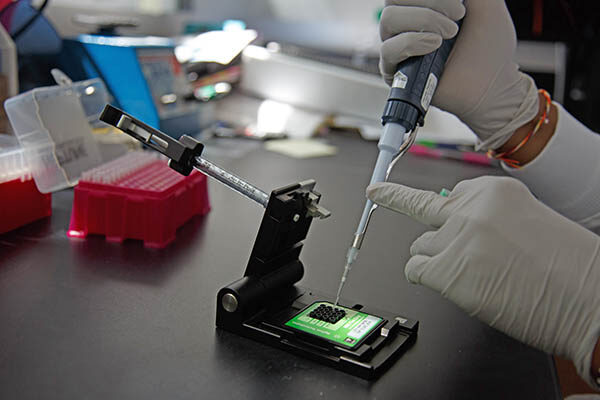Vision of expanded genetic code for making novel biologics comes closer to realization