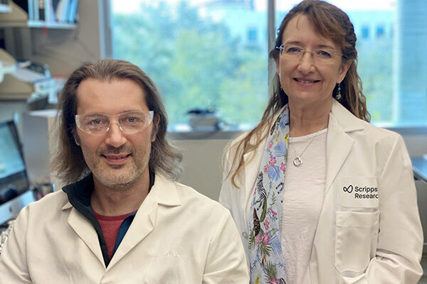 Search for safer pain relief advances with new engineered compounds