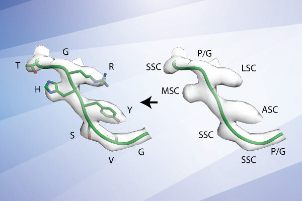 New electron microscopy technique could shortcut the development of vaccines and monoclonal antibody therapies