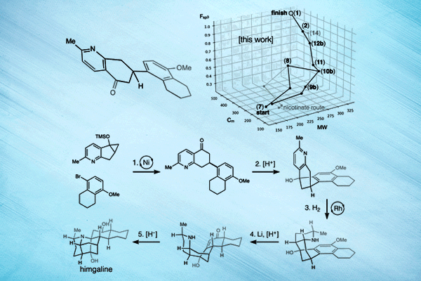 Scripps Research chemists find a quick way to synthesize novel neuroactive compounds found in rainforest tree