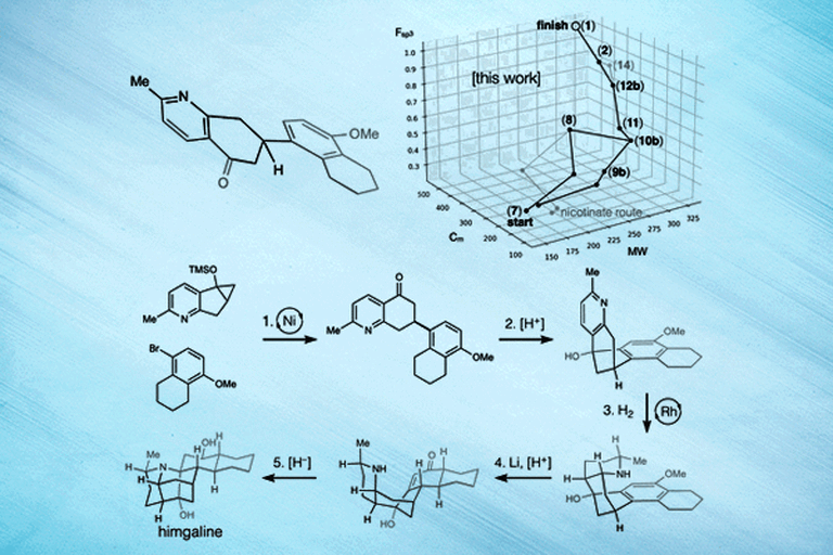 Scripps Research chemists find a quick way to synthesize novel neuroactive compounds found in rainforest tree