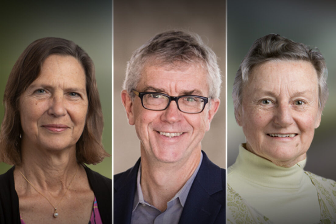 Three Scripps Research faculty elected to National Academy of Sciences
