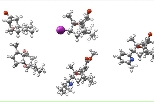 Chemists synthesize psychotropic compound from rainforest tree