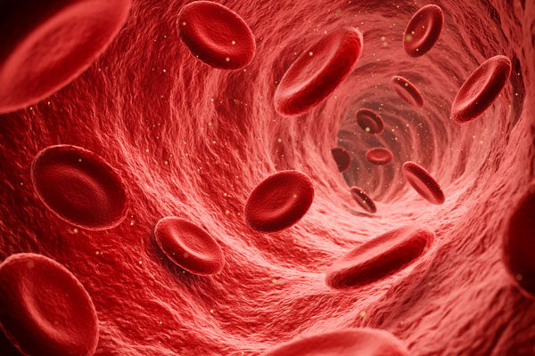 NIH awards $4 million to initiate large clinical trial of stroke drug invented at Scripps Research