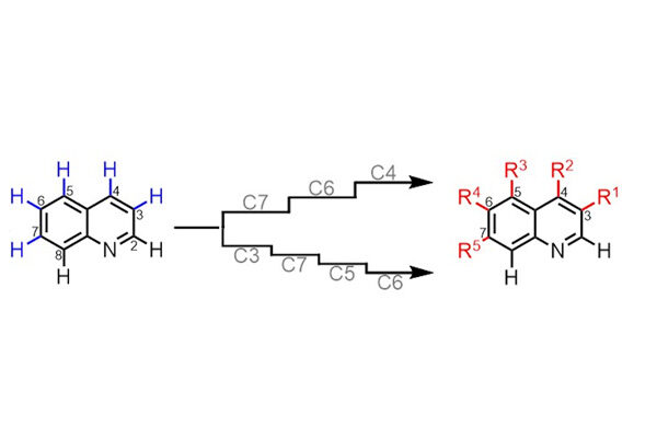 Scripps Research, UCLA chemists achieve “molecular editing” feat