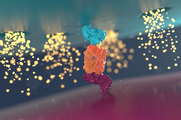 Calibr reports promising results from first-in-human clinical trial of switchable CAR-T (CLBR001 + SWI019), a next-generation universal CAR-T platform designed to enhance the versatility and safety of cell therapies