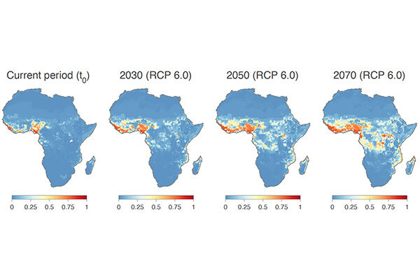 Lassa virus endemic area may expand dramatically in coming decades