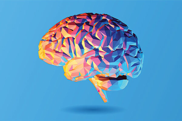 New tool reveals what happens in the brain when we learn