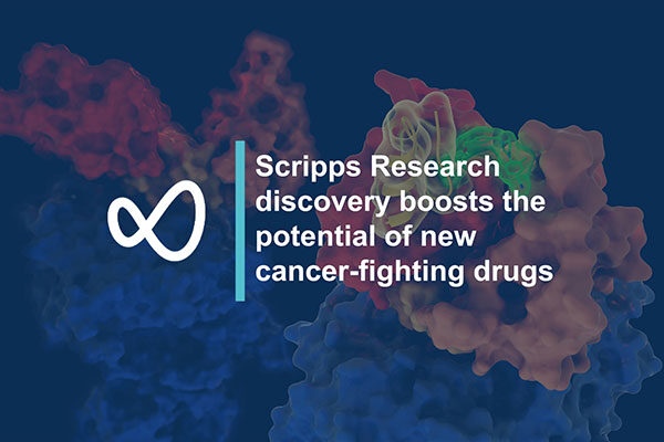 Discovery by Scripps Research scientists boosts the potential of new cancer-fighting drugs