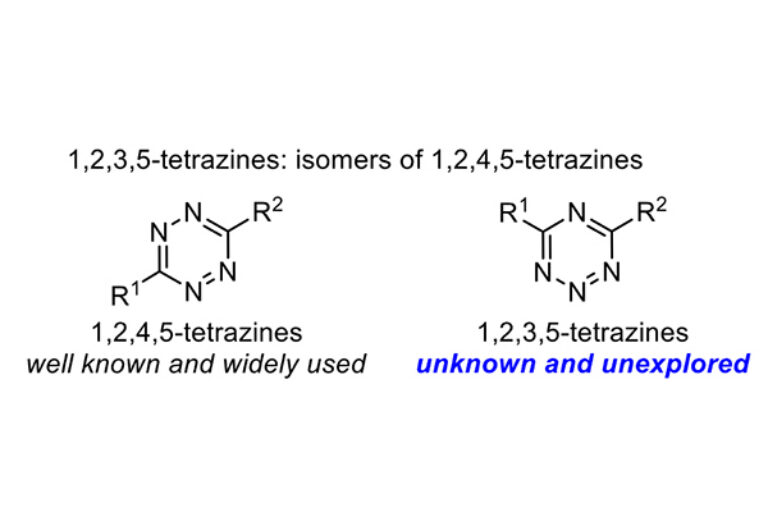 Scripps Research chemists develop reactions for the general synthesis of promising unexplored compounds