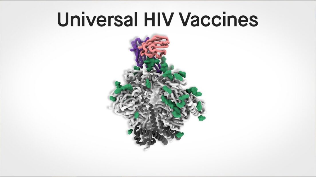 The search for universal HIV vaccines