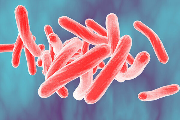 Calibr and Bill & Melinda Gates Medical Research Institute announce licensing agreement for novel candidate tuberculosis treatment compound