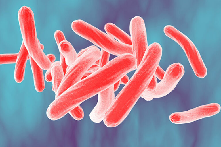 Calibr and Bill & Melinda Gates Medical Research Institute announce licensing agreement for novel candidate tuberculosis treatment compound
