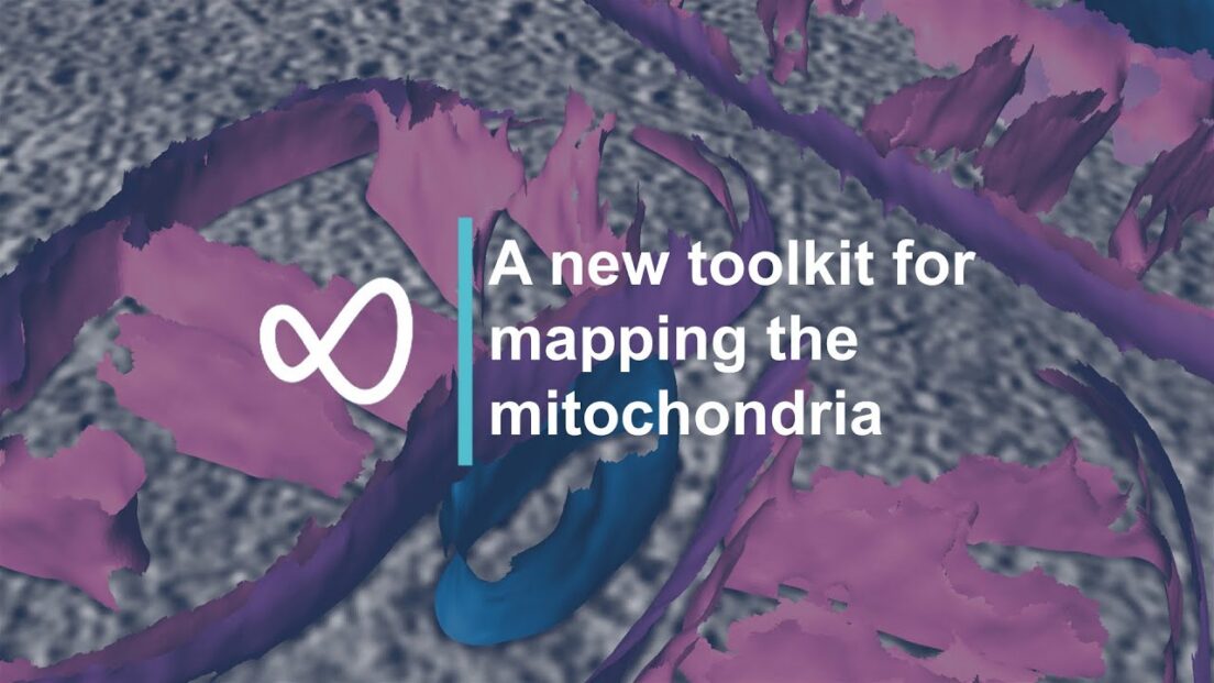 A new toolkit for mapping the mitochondria