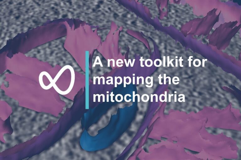 A new toolkit for mapping the mitochondria