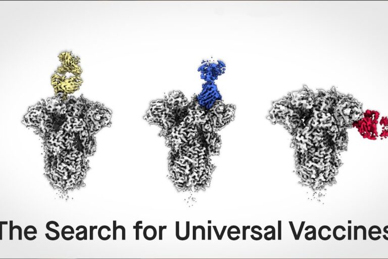 The search for universal vaccines