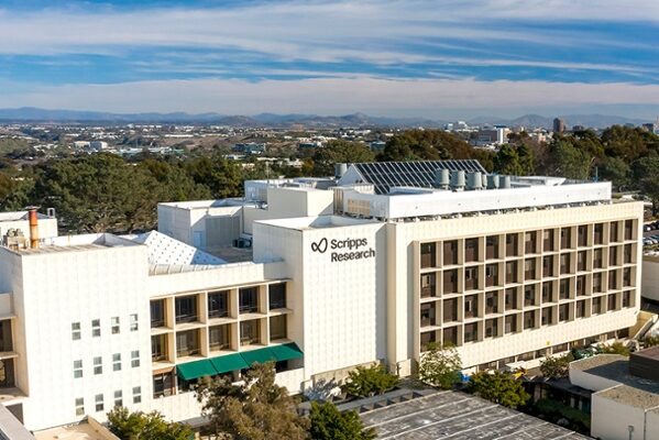 Scripps Research preclinical study finds insomnia drug blocks oxycodone relapse