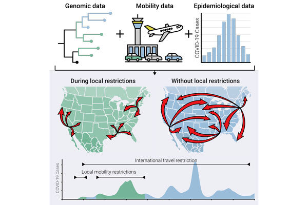 Social distancing was more effective at preventing local COVID-19 transmission than international border closures