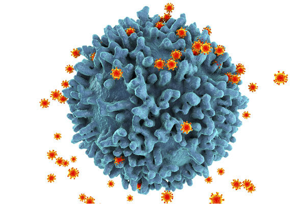 Novel HIV-1 vaccine candidates invented at Scripps Research to enter phase 1 clinical trial