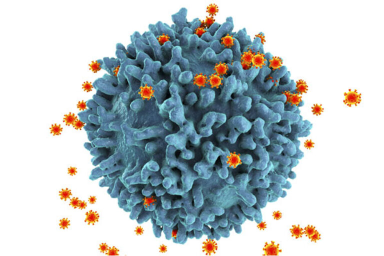 Novel HIV-1 vaccine candidates invented at Scripps Research to enter phase 1 clinical trial