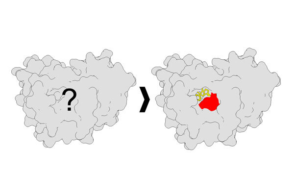 New method illuminates druggable sites on proteins