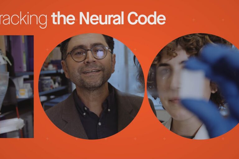 Cracking the neural code: A century of science changing life