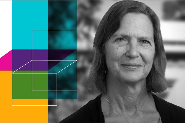 How experiences shape the developing brain and impact neurological diseases
