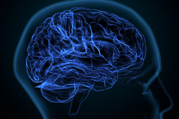 How blocking a neural receptor responsible for addiction could reduce alcohol use