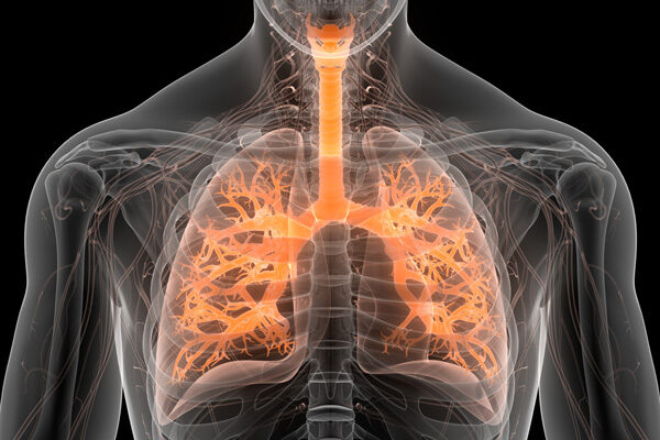 How a new drug prototype regenerates lung tissue