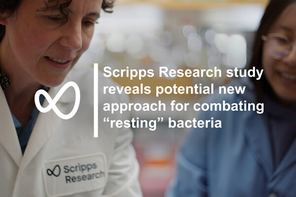 Scripps Research study reveals new approach for combating “resting” bacteria