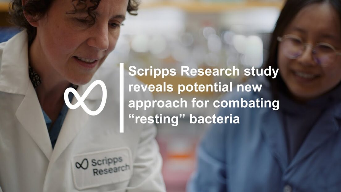 Combating “resting” bacteria to better treat chronic infections