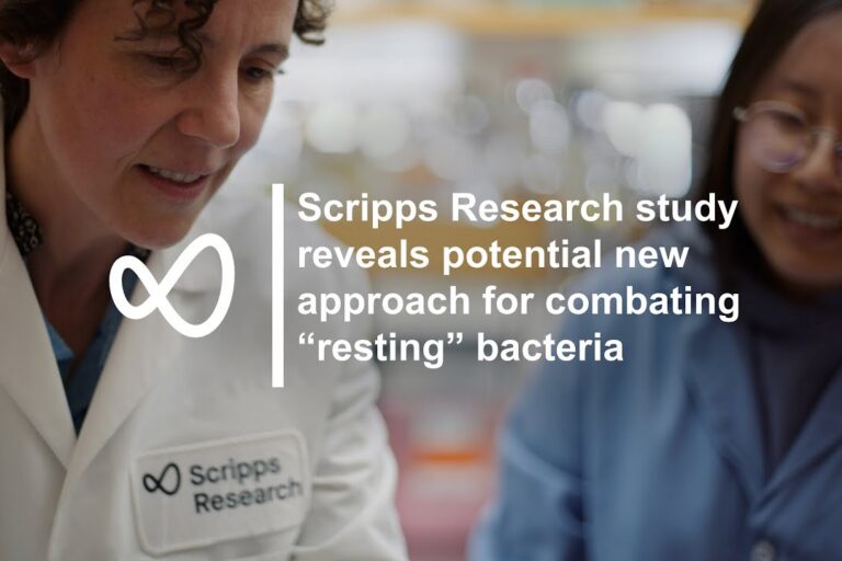 Combating “resting” bacteria to better treat chronic infections