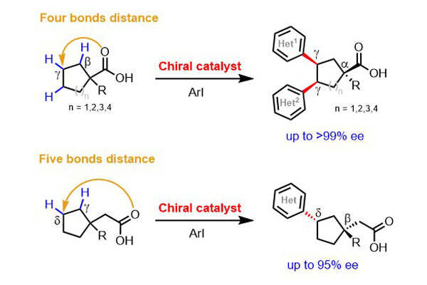 Scripps Research chemists develop new method for making gamma chiral centers on simple carboxylic acids