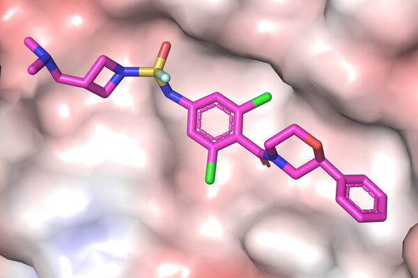 Drug-like inhibitor shows promise in preventing flu