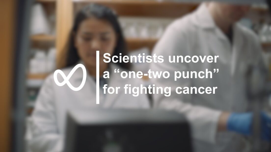 Scientists uncover a “one-two punch” for fighting cancer