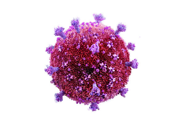 Advancing toward a preventative HIV vaccine